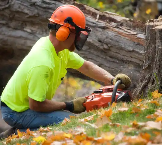 tree services Katonah